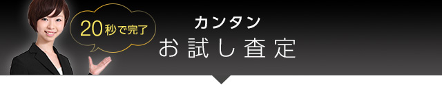 カンタンお試し査定